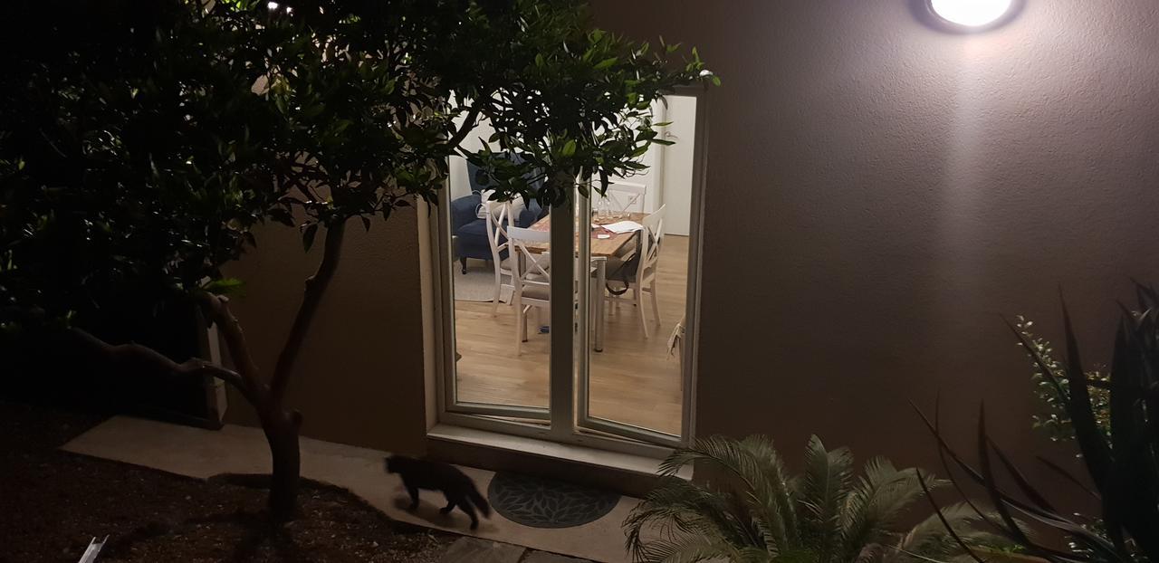 Garden Apartmant Near Sea Kotor Ngoại thất bức ảnh
