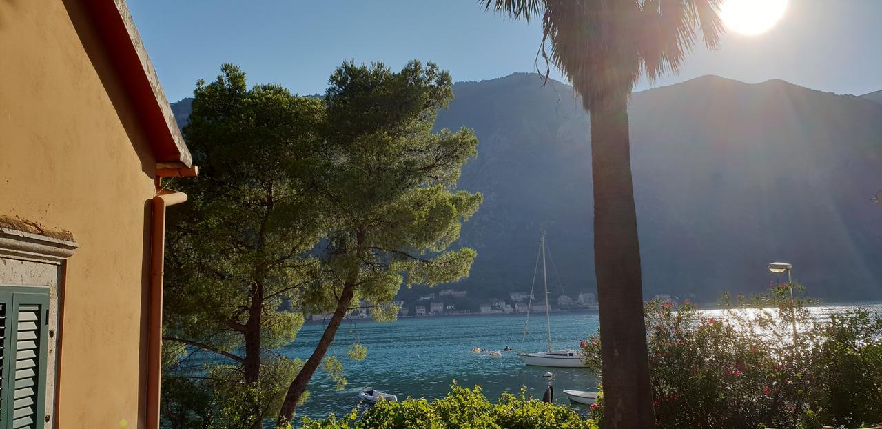 Garden Apartmant Near Sea Kotor Ngoại thất bức ảnh