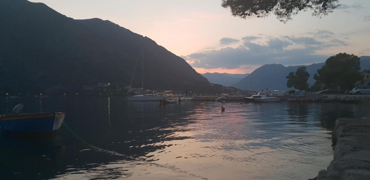Garden Apartmant Near Sea Kotor Ngoại thất bức ảnh